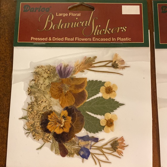 Darice botanical flowers 🌼🌿Pressed and dried real flowers! 🌼🌿 - Picture 4 of 6